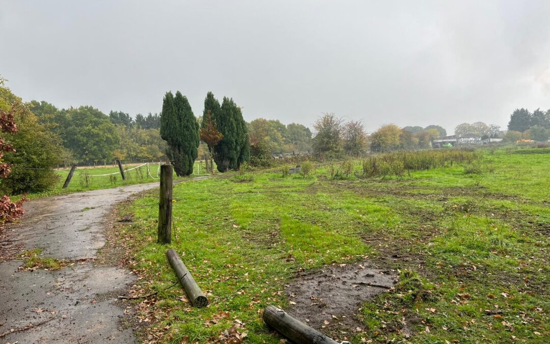 Littlewood Farm North